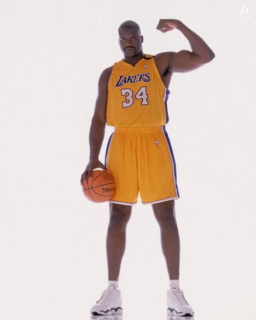 CBA球队战术变化分析（CBA各队战术演变剖析）